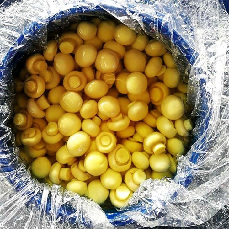 Mushroom Agaricus In Conserve (4)