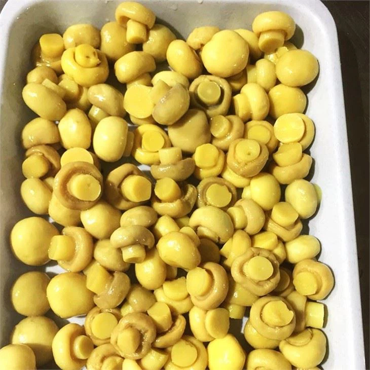 Salted Champignon Mushroom (2)