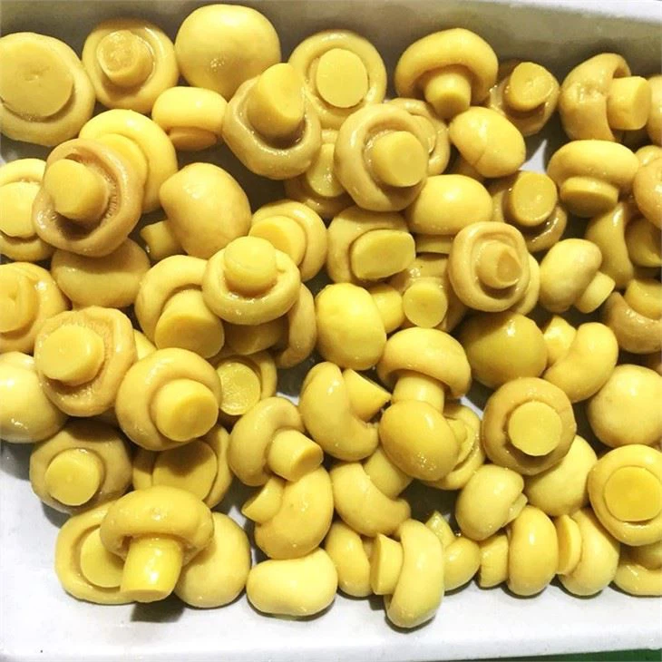 Salted Champignon Mushroom (3)