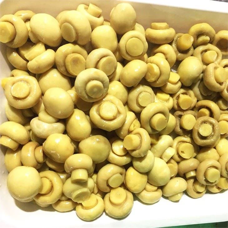 Salted Champignon Mushroom (4)