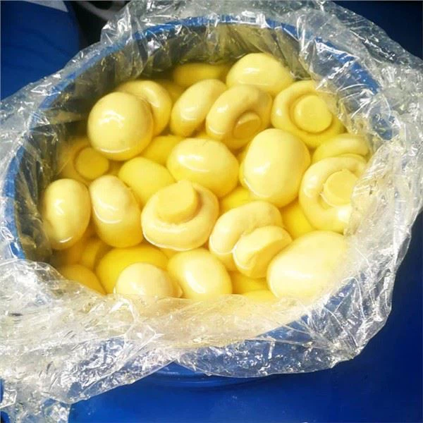 Bolets Champignon a SO2