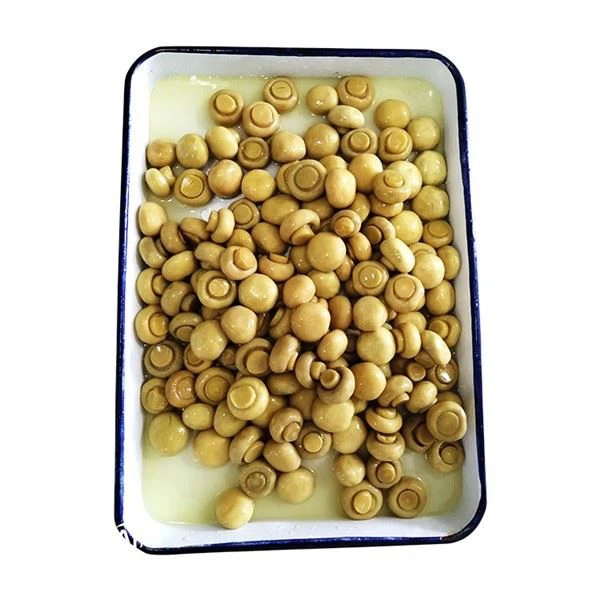 Bolets en Salmorra