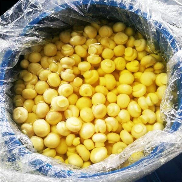 Bolet sencer en SO2 al tambor