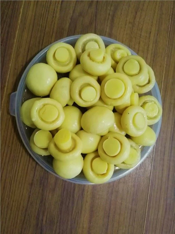 Bolet fresc a la salmorra sencera